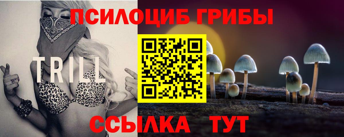 Псилоцибиновые грибы MAGIC MUSHROOMS Сатка